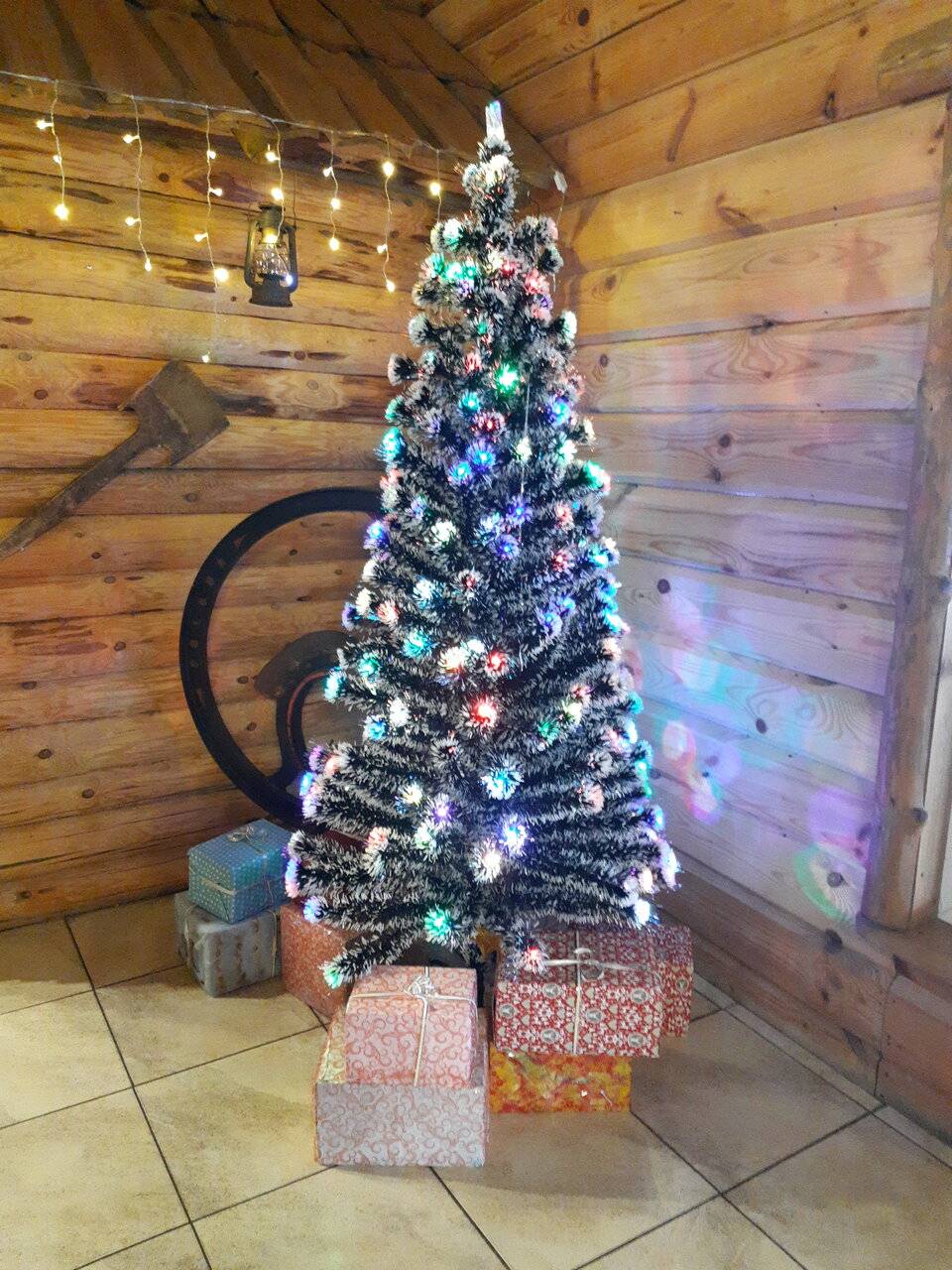 Фото Гостевого дома Жукова гора Касимов 108