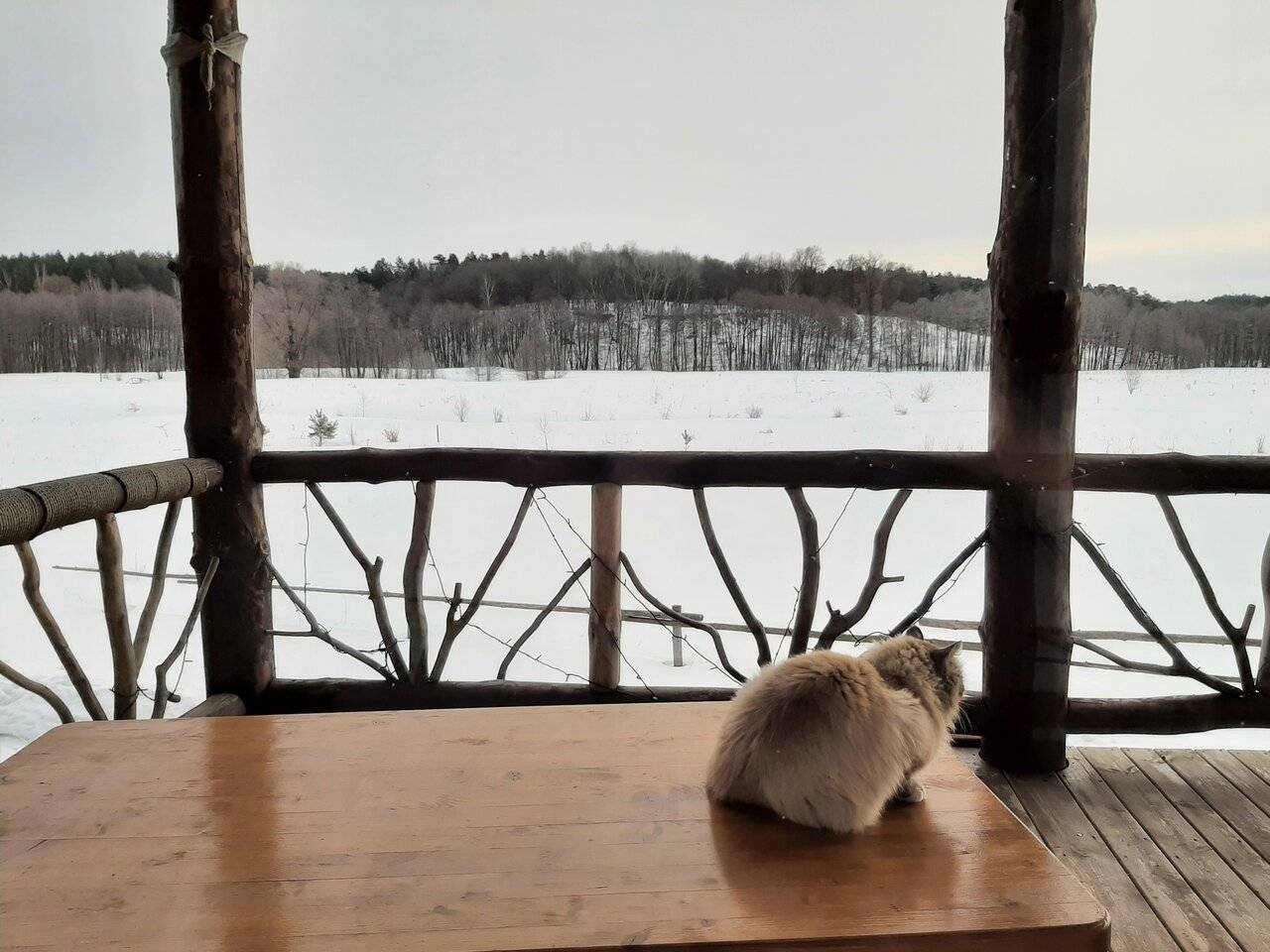 Фото Гостевого дома Жукова гора Касимов 50