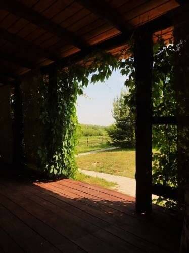 Фото Гостевого дома Жукова гора Касимов 154