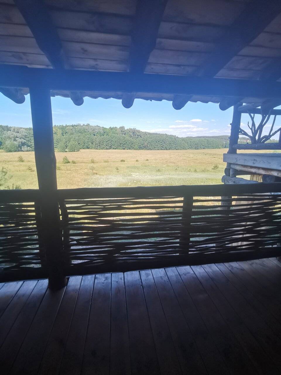 Фото Гостевого дома Жукова гора Касимов 91