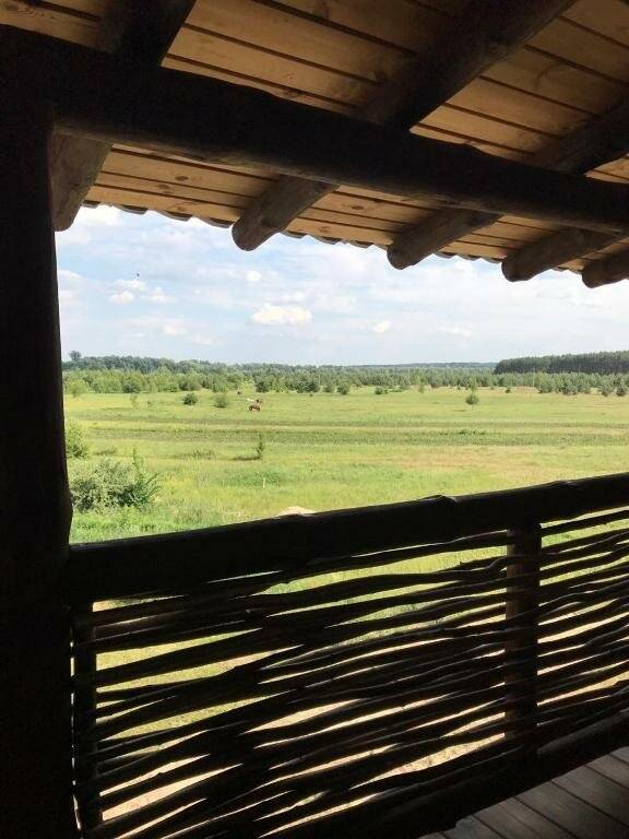 Фотографии номера Номер люкс (с завтраком) в Гостевом доме Жукова гора Касимов