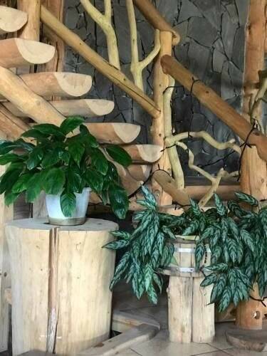 Фото Гостевого дома Жукова гора Касимов 145